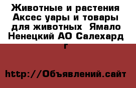 Животные и растения Аксесcуары и товары для животных. Ямало-Ненецкий АО,Салехард г.